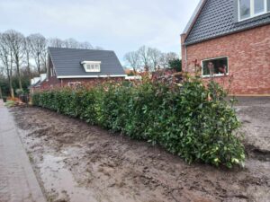 beplanting-voortuin
